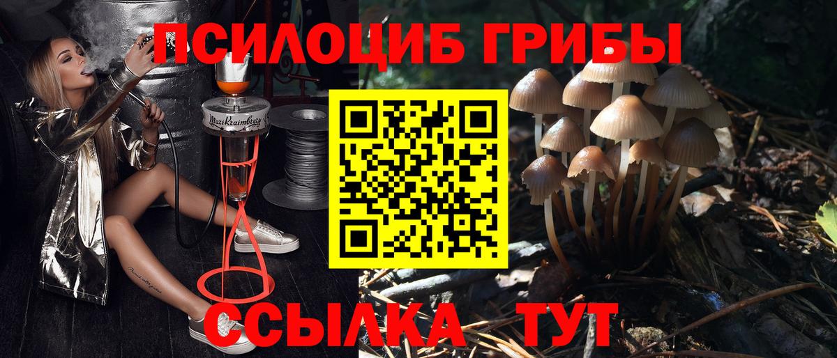 Иваново  Галлюциногенные грибы GOLDEN TEACHER  Галлюциногенные грибы мухоморы  Вход с VPN 